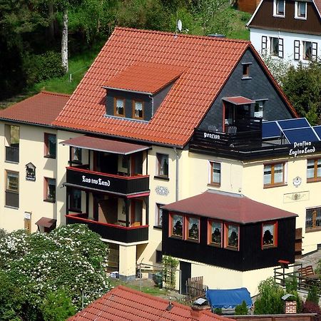 Pension "Lug Ins Land" Rathen Zewnętrze zdjęcie